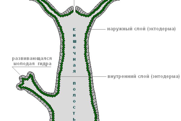 Кракен даркнет купить